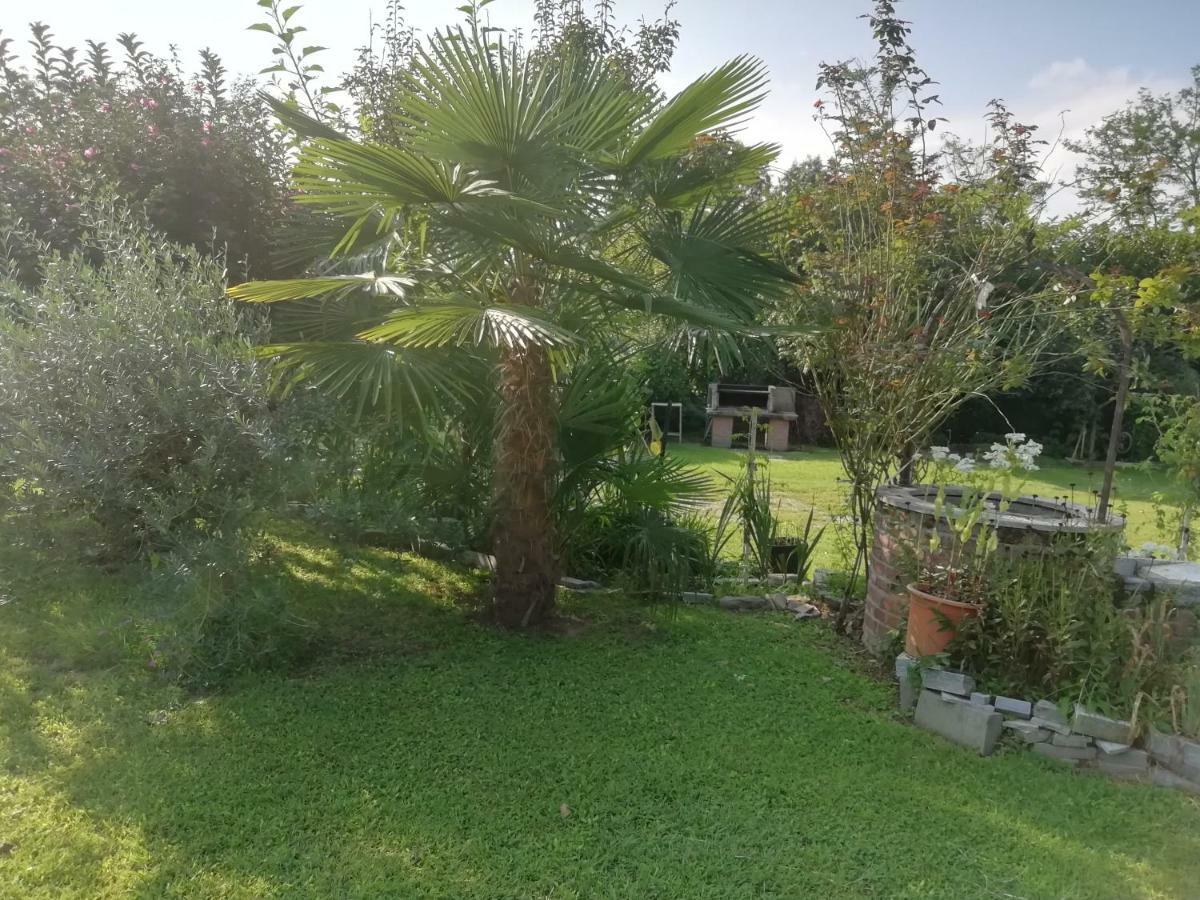Appartement Un Bell Incontro à Borgo Ticino Extérieur photo